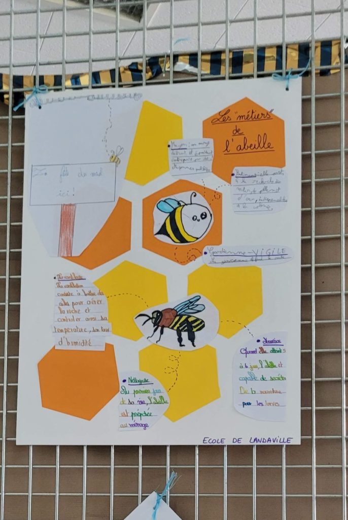 03 Informations sur l'apiculture