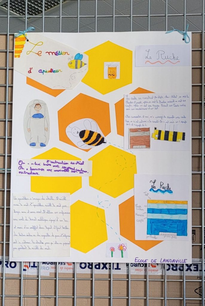 04 Informations sur l'apiculture